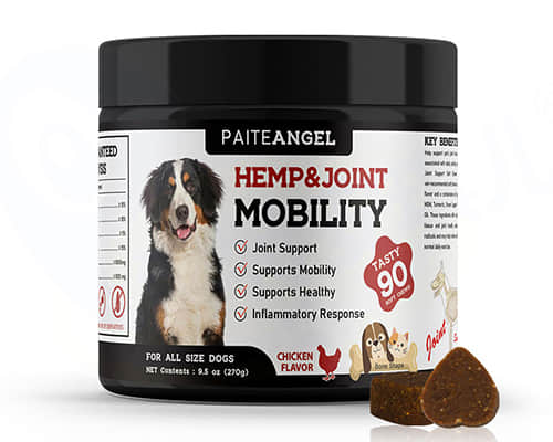 Pet Joint & Mobility Support
